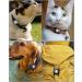 4 Pack Airtag Case Waterproof | OneOnta Airtag Dog Collar | Durable Apple Airtag Holder for Dogs & Cats (2.5cm Width) - Shop Now! - Buy Online on SooperMarket.com