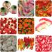 Halloween Sweets 1kg Novelty Halloween Pick n Mix Halloween Trick or Treat Themed Sweets Halloween Party 2023 - Buy Online on SooperMarket.com