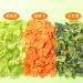 Vegetable Soup Blend 320g Dehydrated Vegetables for Ramen Noodles Mixed Dried Vegetables For Soup Stir Fry - Buy Online on SooperMarket.com