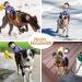 Small Cowboy Rider Style Pet Costume for Dogs - Fun and Stylish Pet Suit - Buy Online on SooperMarket.com