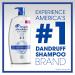 Head and Shoulders 2 in 1 Anti Dandruff Shampoo and Conditioner, Classic Clean Scent, 32.1 fl oz Twin Pack - For All Hair Types, Color Treated, Curly Hair - Buy Online on SooperMarket.com