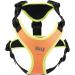 Julius-K9 Mantrailing & Outdoor Dog Harness - XS UV Orange with Neon Edge | International Shipping Available - Buy Online on SooperMarket.com