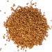 Bremer Gew rzhandel Whole Coriander Seeds - 75g for Cooking & Baking | Premium Quality Spice - Buy Online on SooperMarket.com