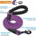 Shop Haapaw Reflective Dog Collar - Padded Neoprene & Breathable Nylon for Small Medium & Large Dogs - Purple (M 1 Pack) | International Shipping Available - Buy Online on SooperMarket.com