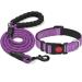 Haapaw Reflecting dog collar padded with soft neoprene breathable nylon dog collar for small medium large dogs M (1 Pack) purple