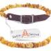 Amber necklace dog tick protection dogs amber collar dogs fleas dog tick protection cat by Baltic Secret 65-70