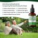 Stress Relief Hemp Seed Oil for Sleep Aid Optimal Pain Relief & Anxiety Relief Certified Organic Made in USA Anti inflammatory Formula 75 000 - Vitamins & Fatty Acids Enhances Mood - Rich in Omega 3 6 9 - Generous 30mL Bottle 1 - Buy Online on SooperMarket.com