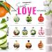 Goodman's Women Perfume Roll-On Fragrance Oil Long Lasting Luxury Rollerball Mini Perfume Alcohol Free 10ml (Sweet Love) - Buy Online on SooperMarket.com