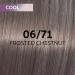 Wella Professional Shinefinity 06/71 Frosted Chestnut 60ml - Buy Online International Shipping Available - Buy Online on SooperMarket.com