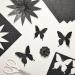 Black Glitter Cardstock Paper - 24 Sheets for Crafts, Birthday Cards, Wedding Invitations - 280gsm, 8.5x11 - Buy Online on SooperMarket.com