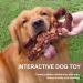 LUKITO Indestructible Dog Chew Toy - Real Beef - Aggressive Chewers - Large Dogs - Brown - Buy Online on SooperMarket.com