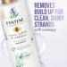 Buy Pantene Sulfate Free Shampoo - Rosemary Detangling Color Safe 9.6 oz | International Shipping - Buy Online on SooperMarket.com