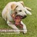 LUKITO Indestructible Dog Chew Toy - Real Beef - Aggressive Chewers - Large Dogs - Brown - Buy Online on SooperMarket.com