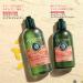L'Occitane Intensive Repair Conditioner for Damaged Hair Refill 16.9 fl. oz. - Pack of 1 - Buy Online on SooperMarket.com