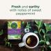 Traditional Medicinals Organic Smooth Move Peppermint Tea - 16 Count Pack - Digestive Support - Buy Online on SooperMarket.com