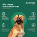 Baskerville Ultra Muzzle Size 1 - Patented Dog Muzzle for Safe Snouts | Pant Eat Drink Comfortably | Ideal for Small Dogs | Prevent Biting & Wild Animal Browsing - Buy Online on SooperMarket.com