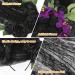 E-More Halloween Headband with Black Lace Veil Elastic Rose Flower Hair Band Black Roses Mesh Lace Hair Accessories Halloween Ghost Bride Party Headdress for Girls Ladies Women - Buy Online on SooperMarket.com