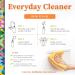 Truly Free Everyday Cleaner - Natural All-Purpose Spray & 2 Refills | Eco-Friendly Household Cleaning Supplies - Buy Online on SooperMarket.com