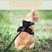 Comfortable Cat Dishes with Leash - Breathable Air Mesh Fits Neck 28-35 cm & Chest 45-51 cm - Easy On/Off - Black S - Buy Online on SooperMarket.com