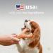 Benebone Wishbone XL Dog Chew Toy - Durable Real Peanuts for Aggressive Chewers | International Shipping Available - Buy Online on SooperMarket.com