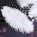 Natural White Ostrich Feathers 10-12inch - Pack of 12 for Wedding & Party Centerpieces - Easter Carnival Decor & Flower Arrangement - Home Decorations - White Feathers - Buy Online on SooperMarket.com