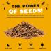 Honey Roasted Sweet Mix of Sunflower & Pumpkin Seeds 450g - Gluten & Wheat-Free Protein Snack with Fibre & Vitamin E for Kids & Adults | Munchy Seeds - Buy Online on SooperMarket.com