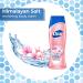 Dial Skin Therapy Body Wash Himalayan Salt 21 fl oz - Pack of 4 | 4 Count - Best for Refreshing Skin - Buy Online on SooperMarket.com