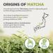Japanese Organic Matcha Green Tea Powder - Culinary Grade 200g | Uji Kyoto Tea for Cooking, Baking & Smoothies | Vegan & Vegetarian Friendly - Buy Online on SooperMarket.com