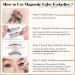 Magnetic Eyelashes Natural Look Reusable Magnetic Lashes with Applicator 3D Magnetic False Eyelashes without Eyeliner Wispy Fluffy Magnetic Lashes No Glue or Liner Needed (1 Pair Natural) - Buy Online on SooperMarket.com