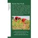 Traditional Medicinals Organic Fennel Herbal Tea - Digestive Health Support (Pack of 2, 32 Tea Bags) - Buy Online on SooperMarket.com