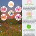 Potty Training Seat Sticker Butterfly - Color Changing Stickers 5 Pack - FREE Potty E-Book - Use with/Without Potty Chart or Training Watches - Buy Online on SooperMarket.com
