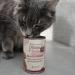 Mjamjam Premium Grain-Free Wet Cat Food - Pure Horse Meat 6-Pack (6 x 200g) - Ultimate Feline Delight - Buy Online on SooperMarket.com