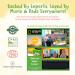 Organic Halal Baby Food Pouches - Stage 2 Rice & Chicken Puree 12x130g | 7+ Months - Buy Online on SooperMarket.com