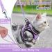 Rabbitgoo Cat Dishes Set - Stylish Cat Linen with Leash | Perfect for Cats | International Shipping - Buy Online on SooperMarket.com