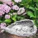 Cat Memorial Statue Angel Wings Ornament Cat Angel Statue Commemorative Stone Statue for Cat Cat Memorial Gifts Resin Pet Memorial Stone Angel Wings Figurine to Honor Cherished Pets - Buy Online on SooperMarket.com