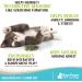 Raw Paws Pet Natural Catnip 1-oz - Premium Loose Catnip Leaf for Cats - Potent Refill for Toys - Cat Catnip Herb Dried - Buy Online on SooperMarket.com