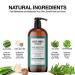 ABBOT KINNEY APOTHECARY Men's 3-in-1 Tea Tree Wash - 32oz for Skin and Hair | Moisturizing Shampoo, Conditioner, Body Wash - Buy Online on SooperMarket.com