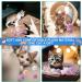 Amaxiu 30Pcs Cat Toy Balls Soft Kitten Pompom Ball Indoor Cats Interactive Ball Toys 3cm/1.18in Queit Cat Ball Cat Pom Pom Balls for Pet Play Pursue Roll Fetch Pink and Purple - Buy Online on SooperMarket.com