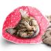SunGrow Cat Cone Collar Soft, Cat Recovery E Collar Cone After Surgery to Stop Licking, Pet Cone of Shame Alternatives, Scratch & Bite Proof Grooming Soft Cone for Easy Nail Cutting Pink Polka (S, 7.5-9" Neck)