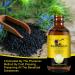 Organic Black Seed Oil - 100% Pure Natural & Cold Pressed Liquid Black Cumin Seed Oilwith Omega 3 6 9 Antioxidant and Thymoquinone for Hair Growth - Buy Online on SooperMarket.com