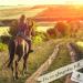 Herbal Land Black Cumin Oil 3L for Horses Dogs & Cats - 100% Pure Cold-Pressed Unfiltered - German Premium Quality - Buy Online on SooperMarket.com