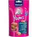 Vita Power Cat Yums - Salmon Cat Snacks Extra Meaty Skin & Fur Support Sugar-Free 9x40g - Omega 3 Boost - Buy Online on SooperMarket.com
