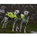 4Legriend Yellow Reflective Safety Vest for Dogs - 2 Pack Small | Keep Your Dog Visible & Safe from Cars & Hunting Accidents - Buy Online on SooperMarket.com