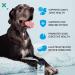 Wolf Spring All-Natural Dog Food Booster for Senior Dogs - Vitamins, Skin & Coat Support, Joint Health - Digestive Health Multivitamin with Glucosamine - Plant-Based Additive - 10oz (Pack of 12) - Buy Online on SooperMarket.com