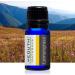 Yeouth Therapeutic Essential Oil Starter Pack - 6 x 10ml - Pure Aromatherapy - Buy Online on SooperMarket.com
