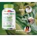 Power Gummies Hemp Multivitamin - 60 Gummies - Buy Online on SooperMarket.com