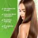 100% Pure Natural Rosemary Oil - Multipurpose Hair Oil for Growth Nourishing Scalp & Strengthening Hair - Buy Online on SooperMarket.com
