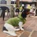 Gooby Fleece Vest Hoodie Dog Sweater - Green X-Small | Winter Pullover with Leash Ring | Small and Medium Dogs Boy/Girl | Chest 11 | Cat Compatible - Buy Online on SooperMarket.com