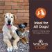 Wellness CORE Pure Rewards Chicken & Lamb Jerky Bites - Grain-Free Dog Treats, 4 oz - Buy Online on SooperMarket.com