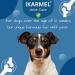 iKarmel Hip and Joint Care Supplements for Dogs - Glucosamine, Chondroitin, Green-Lipped Mussels - Senior to Puppy Treats for Stiff Joints (180 Chews) - Buy Online on SooperMarket.com
